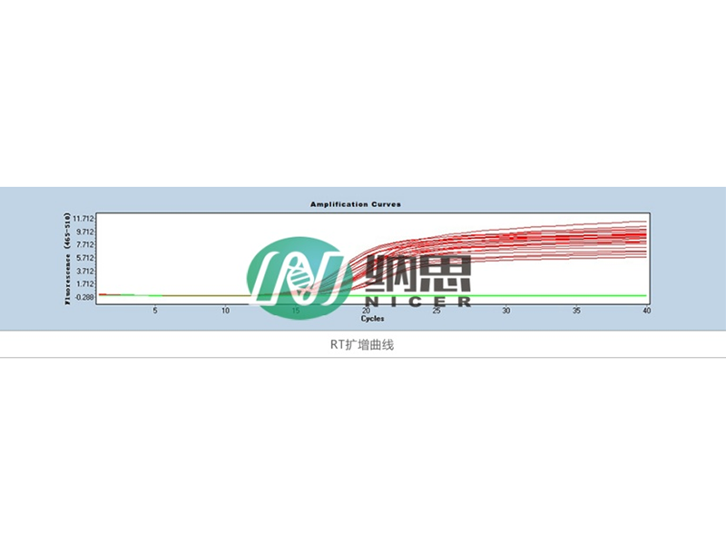 RT-PCR